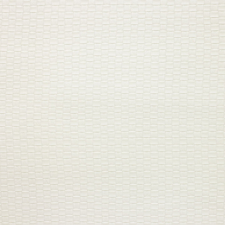 Olia-101 by Kravet Design Fabric POLY VINYL CHLORIDE - 75%;POLYESTER - 16%;COTTON - 9% Korea, Republic of HEAVY Horizontal: 1 and Vertical: 1 54 - Fabric Carolina -