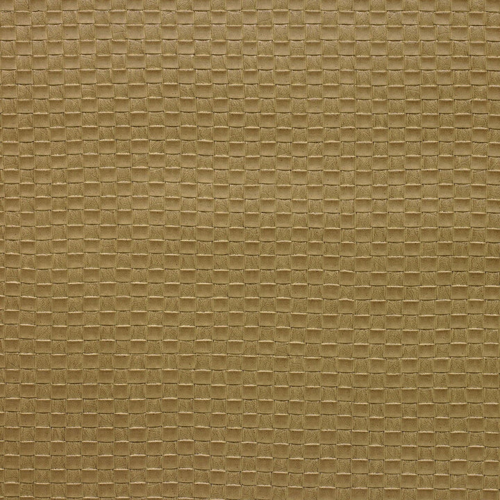Olia-16 by Kravet Design Designer Fabric POLY VINYL CHLORIDE - 75%;POLYESTER - 16%;COTTON - 9% Korea, Republic of HEAVY Horizontal: 1 and Vertical: 1 54 - Swanky Fabrics -