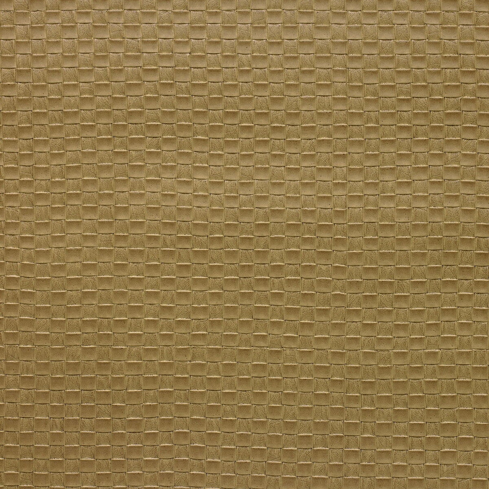 Olia-16 by Kravet Design Fabric POLY VINYL CHLORIDE - 75%;POLYESTER - 16%;COTTON - 9% Korea, Republic of HEAVY Horizontal: 1 and Vertical: 1 54 - Fabric Carolina -