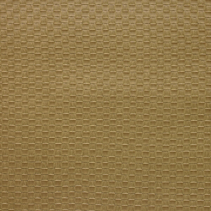 Olia-16 by Kravet Design Fabric POLY VINYL CHLORIDE - 75%;POLYESTER - 16%;COTTON - 9% Korea, Republic of HEAVY Horizontal: 1 and Vertical: 1 54 - Fabric Carolina -