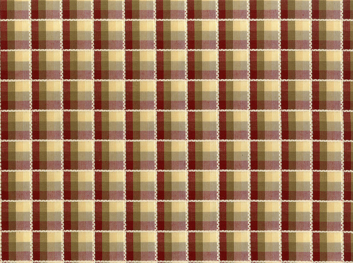 Olida Persimmon 318 by Covington Fabric 65% COTTON/35% POLYESTER TAI Horizontal: 1.125 and Vertical: 1.125 54 - Fabric Carolina -