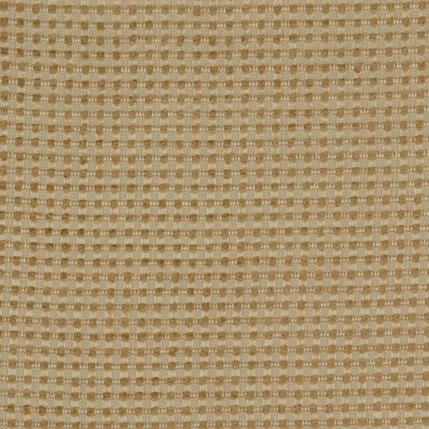 OLIVIA 11J5081 by JF Fabric EARTH ELEMENTS BY WM(NATURAL) 47% Rayon, 28% Rayon, 13% Cotton, 9% Cotton, 3% Polyester UNITED STATES ABRASIO (GEERAL - 15,000-30,000, DOUBLE RUBS) Horizontal: 0.500 and Vertical: 0.500 57.00 - Fabric Carolina -