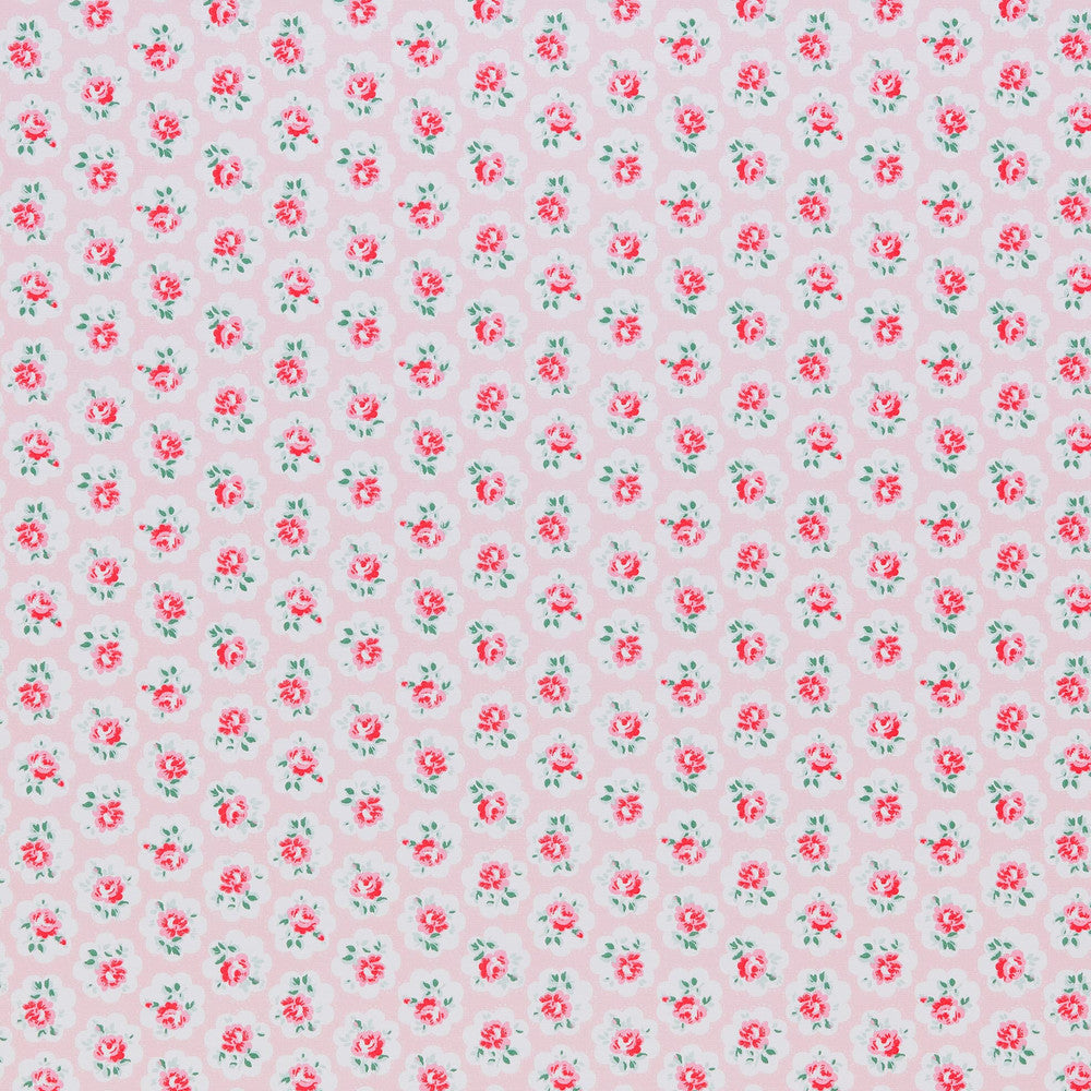 Omalley 1 Powder by Stout Fabric CATH KIDSTON 100%COT TURKEY Horizontal: 2.875 and Vertical: 4.125 55 in - Fabric Carolina -