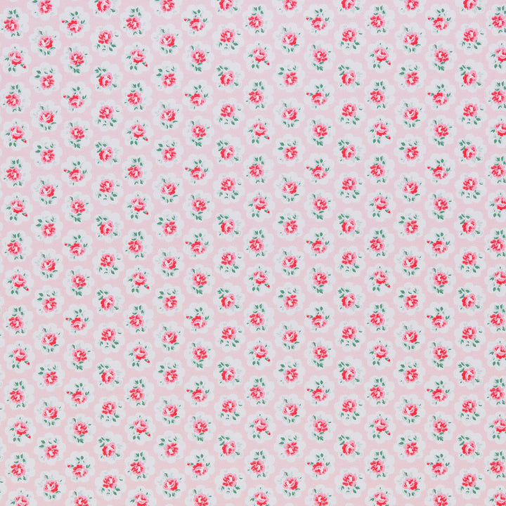 Omalley 1 Powder by Stout Fabric CATH KIDSTON 100%COT TURKEY Horizontal: 2.875 and Vertical: 4.125 55 in - Fabric Carolina -