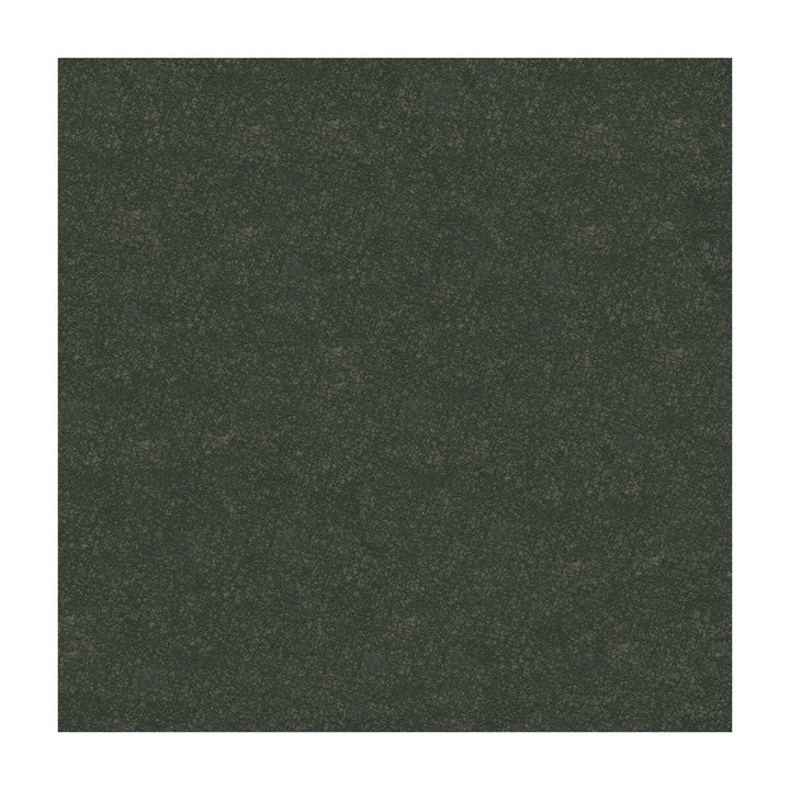 Ombra-21 by Kravet Design Fabric ULTRALEATHER PLUS IV POLYURETHANE - 100% Japan HEAVY Horizontal: - and Vertical: - 54 - Fabric Carolina -
