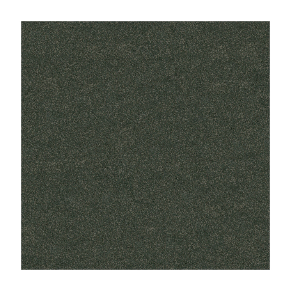 Ombra-21 by Kravet Design Fabric ULTRALEATHER PLUS IV POLYURETHANE - 100% Japan HEAVY Horizontal: and Vertical: 54 - Fabric Carolina -