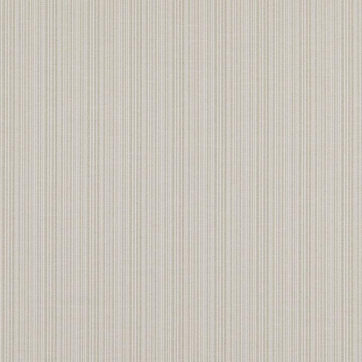 Omni 32J7331 by JF Fabric Winning Windows V Drapery Book 100% Polyester Taiwan Horizontal: 2 and Vertical: 58 - Fabric Carolina -