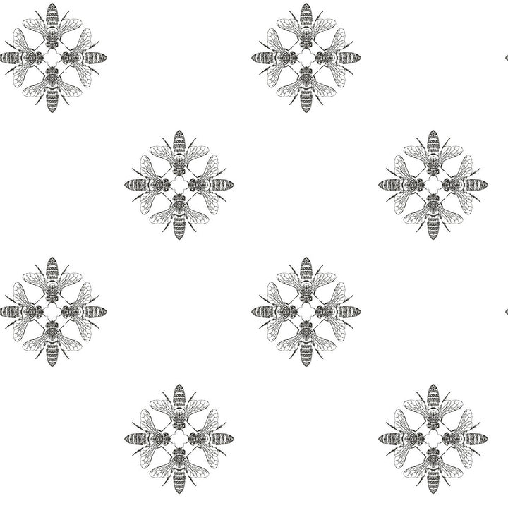 Honey Bee Black & White Wallpaper by Inspired by Color Black & White Resource Library Covers about 56.4 square feet 20.5-in by 33-ft long roll Prepasted 10.25 - Fabric Carolina -