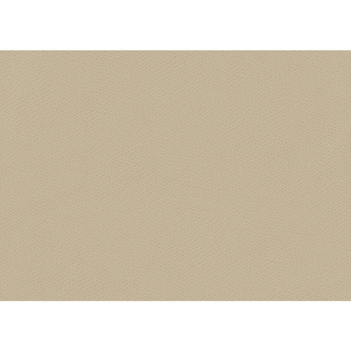 Ophidian Oatmeal by Kravet Contract Fabric Kravet Contract Fabric Ophidian OatmealFabric CONTRACT STA-KLEEN POLYURETHANE - 100% China </p><p>Repeat: H: , V: 54 - Fabric Carolina -