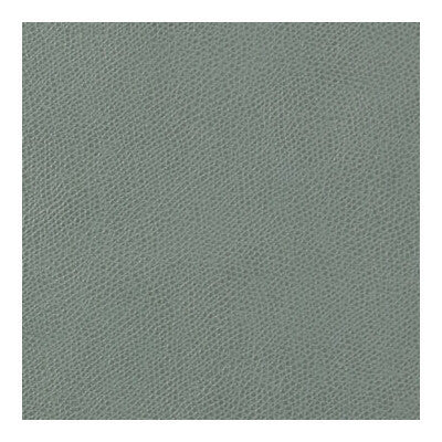 Kravet Contract Upholstery OPHIDIAN.113.0 Upholstery POLYURETHANE - 100% China </p><p>Repeat: H: , V: 27.5 21 - My Fabric Connection -