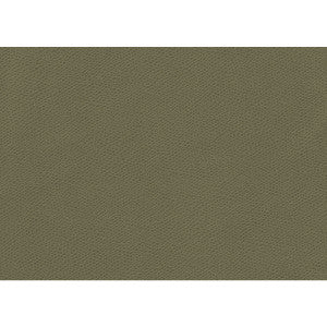 Ophidian Sage by Kravet Contract Fabric