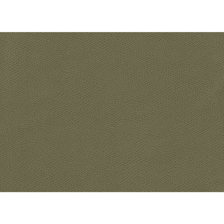Ophidian Sage by Kravet Contract Fabric Kravet Contract Fabric Ophidian SageFabric CONTRACT STA-KLEEN POLYURETHANE - 100% China </p><p>Repeat: H: , V: 54 - Fabric Carolina -