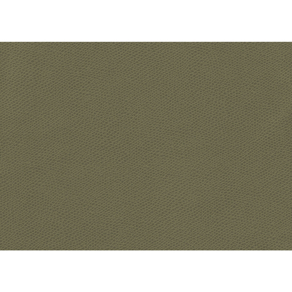 Ophidian Sage by Kravet Contract Fabric CONTRACT STA-KLEEN POLYURETHANE - 100% China HEAVY Horizontal: - and Vertical: - 54 - Fabric Carolina -