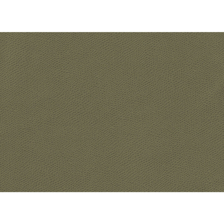 Ophidian Sage by Kravet Contract Fabric Kravet Contract Fabric Ophidian SageFabric CONTRACT STA-KLEEN POLYURETHANE - 100% China </p><p>Repeat: H: , V: 54 - Fabric Carolina -