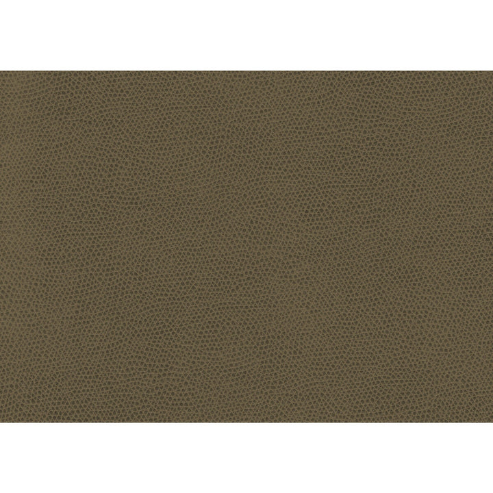 Ophidian Bark by Kravet Contract Fabric CONTRACT STA-KLEEN POLYURETHANE - 100% China HEAVY Horizontal: - and Vertical: - 54 - Fabric Carolina -