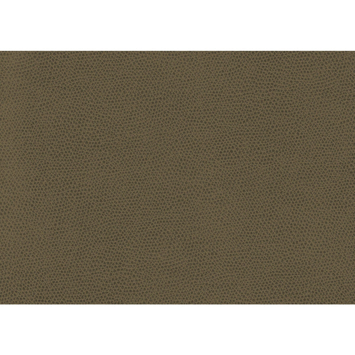 Ophidian Bark by Kravet Contract Fabric Kravet Contract Fabric Ophidian BarkFabric CONTRACT STA-KLEEN POLYURETHANE - 100% China </p><p>Repeat: H: , V: 54 - Fabric Carolina -