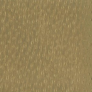 Optic Gold by Norbar Fabric