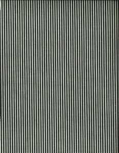 Optima Onyx by Norbar Fabric ARCADE 100% COTTON 2"H 55 - Fabric Carolina -