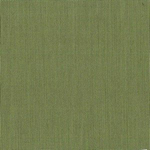 Option Sage Green by Norbar Fabric
