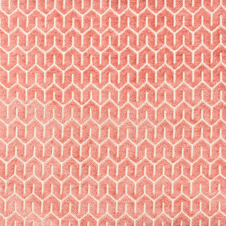 Orator 1 Rosebud by Stout Fabric Stout Fabric Orator 1 RosebudFabric COMFORTABLE LIVING BLUSH/GINGER INDIA </p><p>Repeat: H: 0.500, V: 0.500 54 in - Fabric Carolina -