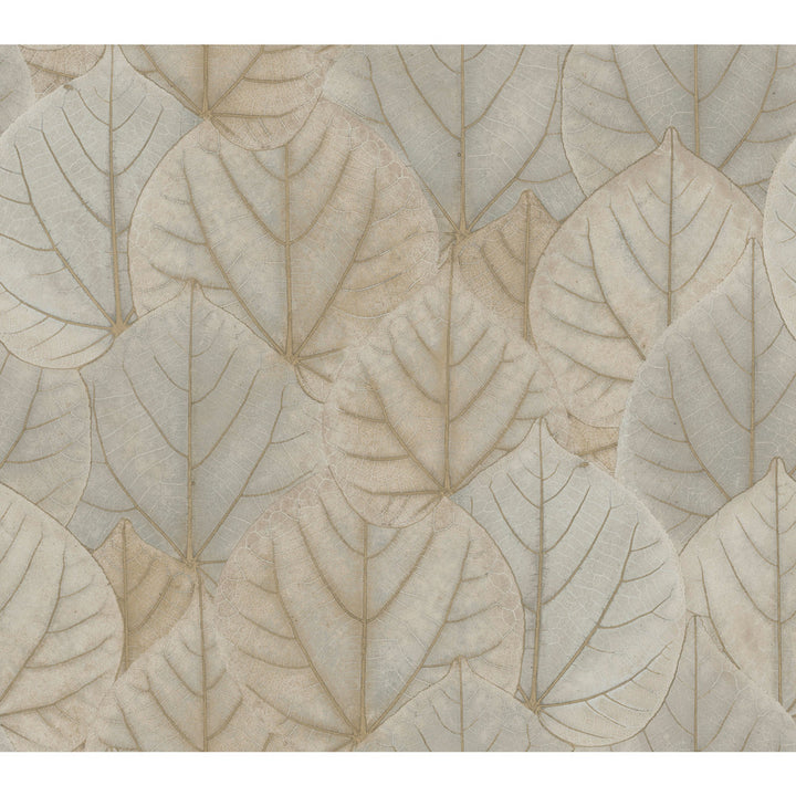 Leaf Concerto Taupe Wallpaper by Candice Olson Candice Olson Modern Nature 2nd Edition Covers about 60.8 square feet 27-in by 27-ft long roll Unpasted 24 - Fabric Carolina -