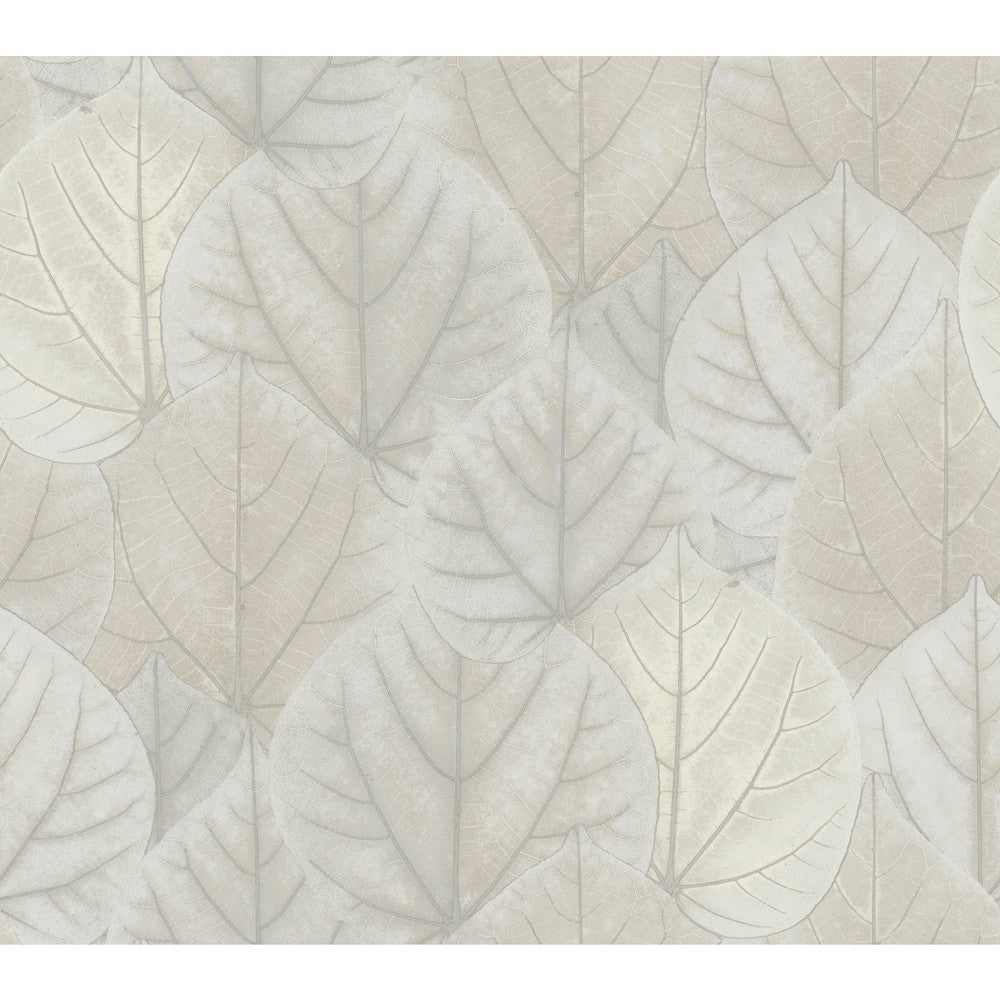 Leaf Concerto Grey Wallpaper by Candice Olson Candice Olson Modern Nature 2nd Edition Covers about 60.8 square feet 27-in by 27-ft long roll Unpasted 24 - Fabric Carolina -