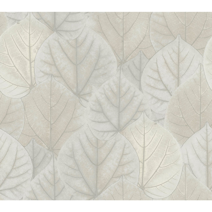 Leaf Concerto Grey Wallpaper by Candice Olson Candice Olson Modern Nature 2nd Edition Covers about 60.8 square feet 27-in by 27-ft long roll Unpasted 24 - Fabric Carolina -