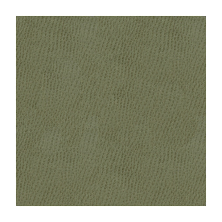 Ossy-11 by Kravet Smart Fabric POLY VINYL CHLORIDE - 100% Taiwan HEAVY Horizontal: and Vertical: 54 - Fabric Carolina -