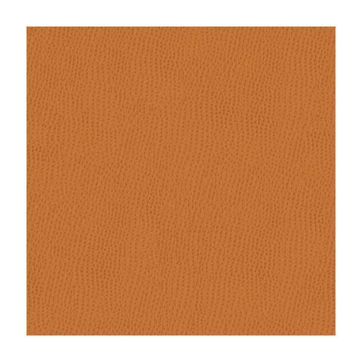 Ossy-212 by Kravet Smart Fabric POLY VINYL CHLORIDE - 100% Taiwan HEAVY Horizontal: and Vertical: 54 - Fabric Carolina -