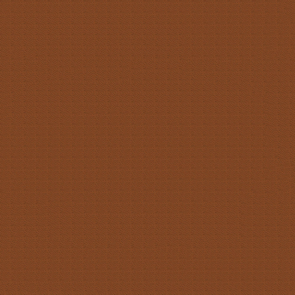 Ostrich 84 Rawhide by ABBEYSHEA Fabric N/A 100% Polyester China 50,000 Double Rubs </p><p>Repeat: Horizontal: and Vertical: 54" (137 cm) - Fabric Carolina -