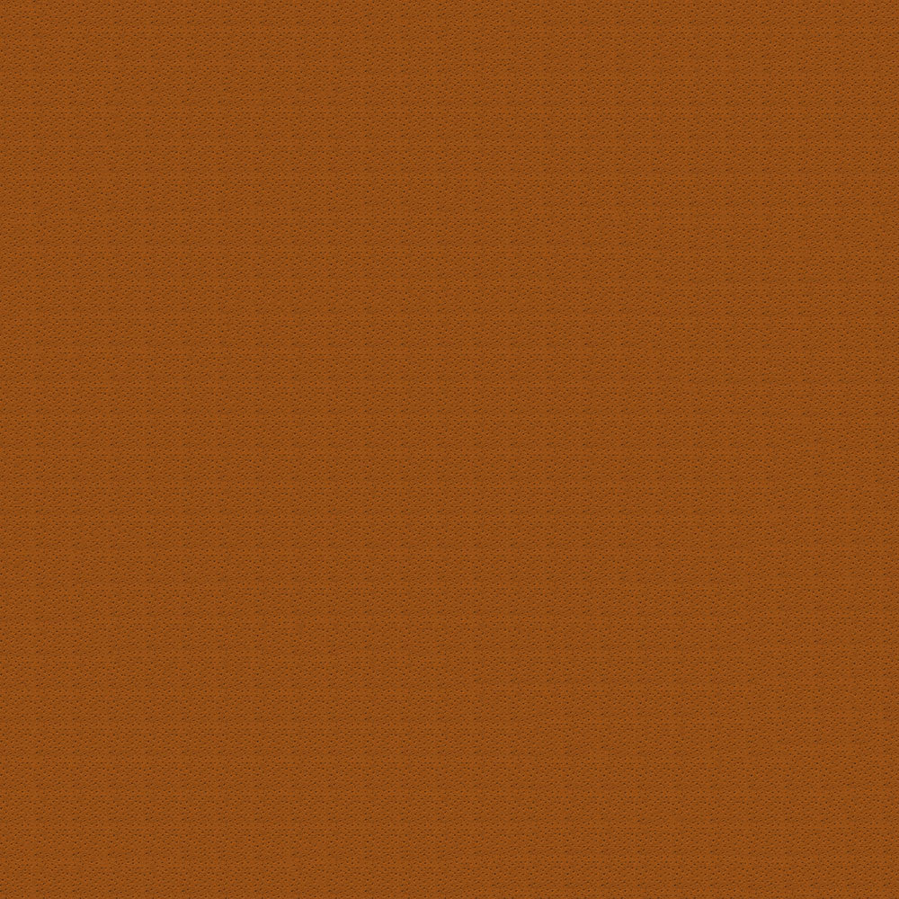 Ostrich 91 Carmel by ABBEYSHEA Fabric N/A 100% Polyester China 50,000 Double Rubs </p><p>Repeat: Horizontal: and Vertical: 54" (137 cm) - Fabric Carolina -