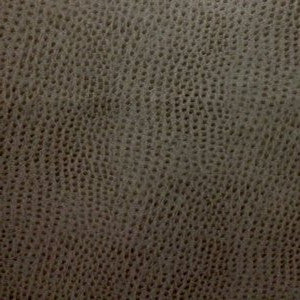 Ostrich Charcoal So 352 by Norbar Fabric
