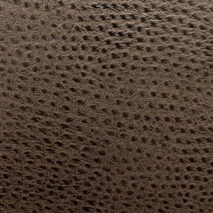 Ostrich Chocolate So 373 by Norbar Fabric 100% POLYURETHANE 54 - Fabric Carolina -