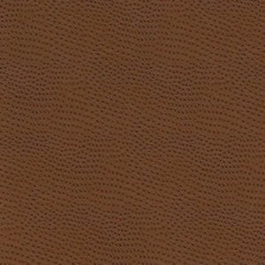 Ostrich Rust So 371 by Norbar Fabric