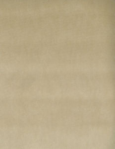 Othello Champagne 207 by Norbar Fabric OTHELLO 75% POLYESTER 25% COTTON CHINA 54 - Fabric Carolina -
