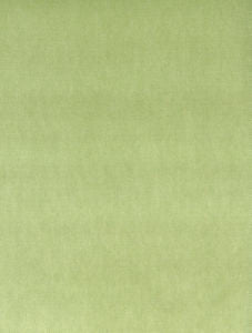 Othello Sprout 312 by Norbar Fabric OTHELLO 75% POLYESTER 25% COTTON CHINA 54 - Fabric Carolina -