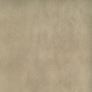 Otis Biscuit 206 by Norbar Fabric EXOTIC 100% POLYESTER CHINA 51,000 WYZENBEEK </p><p>Repeat: 54" - Fabric Carolina -