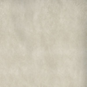 Otis Cream 006 by Norbar Fabric EXOTIC 100% POLYESTER CHINA 51,000 WYZENBEEK </p><p>Repeat: 54" - Fabric Carolina -