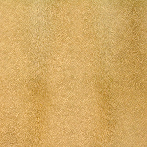 Otter 15J6261 by JF Fabric