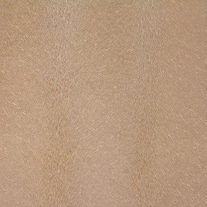 Otter 34J6261 by JF Fabric
