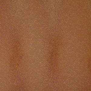 Otter 35J6261 by JF Fabric