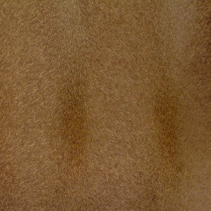 Otter 38J6261 by JF Fabric