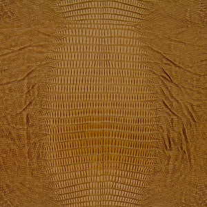 Outback 19J6261 by JF Fabric