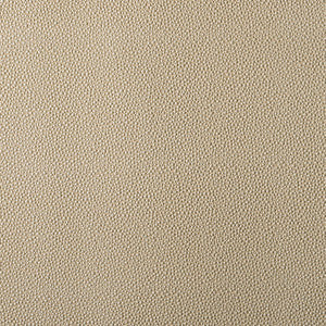 Outlaw 93J9591 By JF Fabric