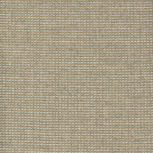 Outwit 4 Twig by Sunbrella Fabric