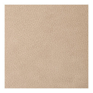 Overlook Praline OVERLOOK.116.0 by Kravet Contract Fabric