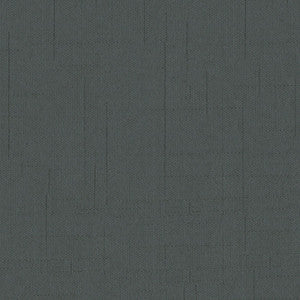 Overshadow 2500 Strong Coal-ition by Enduratex Fabric