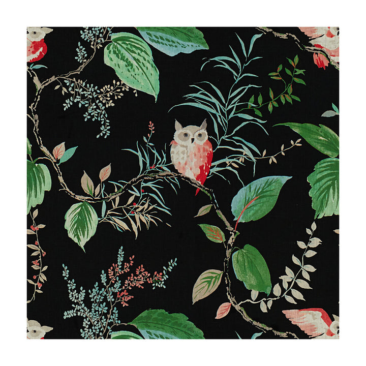 Owlish Black by Kravet Design Fabric Kravet Design Fabric Owlish BlackFabric KATE SPADE CURIOSITIES LINEN - 100% China </p><p>Repeat: H: 27, V: 27 54 - Fabric Carolina -