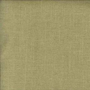 Ozone Peridot by Norbar Fabric