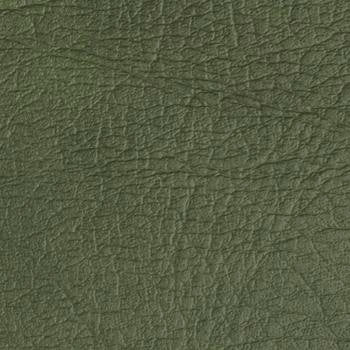 Oxen Naugahyde Medium Green by Naugahyde Fabric See sample 100% Vinyl 250000 Horizontal: Not Applicable and Vertical: Not Applicable 54" - Fabric Carolina -